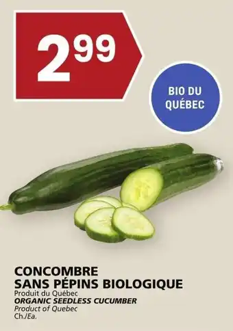 Rachelle-Bery Grocery ORGANIC SEEDLESS CUCUMBER offer