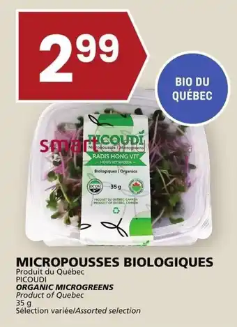 Rachelle-Bery Grocery PICOUDI ORGANIC MICROGREENS offer