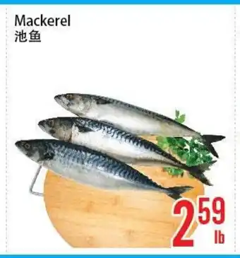 Fresh Value Mackerel offer