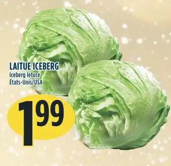 Marché Adonis Laitue iceberg offer