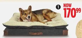Canadian Tire Petco grey pillow-top lounger orthopedic dog bed offer
