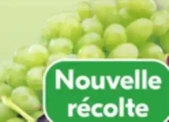 IGA Seedless green grapes offer