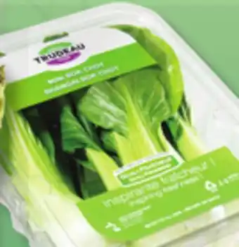IGA Shanghai bok choy junior, duo shanghai and bok choy or baby bok choy junior offer
