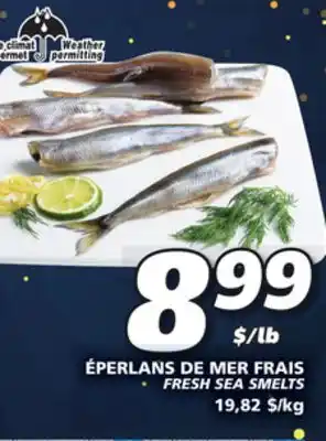 IGA Fresh sea smelts offer