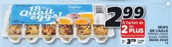 IGA Spring creek quail farms quail eggs offer