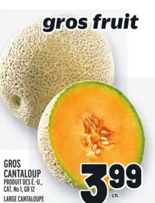 Metro Gros cantaloup | large cantaloupe offer