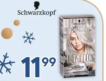Brunet Schwarzkopf offer