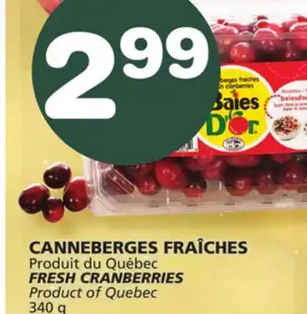 Marches Tradition Fresh cranberries offer