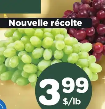 Marches Tradition Seedless red or green grapes offer
