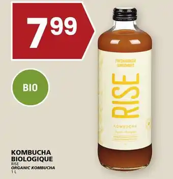 Rachelle-Bery Grocery Rise organic kombucha offer