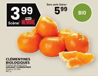 Rachelle-Bery Grocery Organic clementines offer