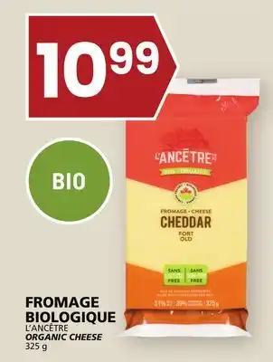 Rachelle-Bery Grocery L'ancêtre organic cheese offer
