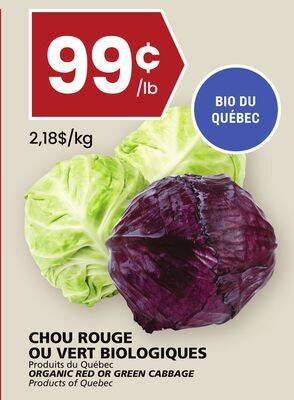 Rachelle-Bery Grocery Organic red or green cabbage offer