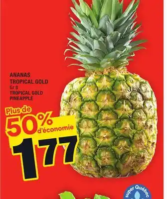 Super C Ananas tropical gold | tropical gold pineapple offer