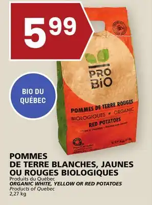 Rachelle-Bery Grocery Organic white, yellow or red potatoes offer