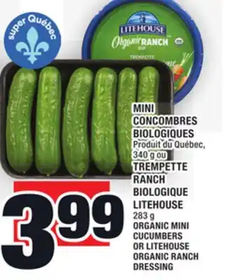 Super C Mini concombres biologiques | organic mini cucumbers offer