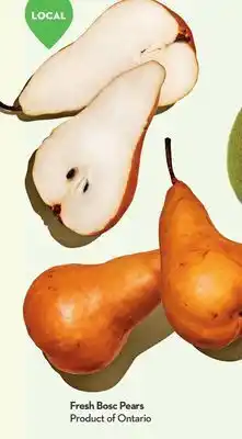 Longo's Fresh bosc pears offer