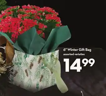 Longo's 6 winter gift bag offer