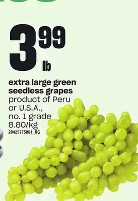 Loblaws Extra large green seedless grapes offer