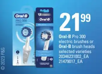 Loblaws Oral-b pro 300 electric brushes or oral-b brush heads offer
