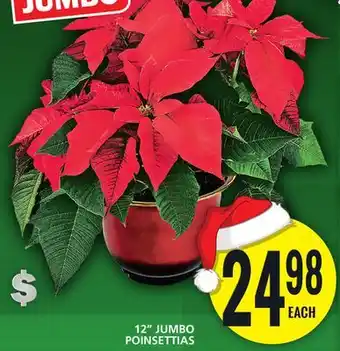 Food Basics 12 jumbo poinsettias offer