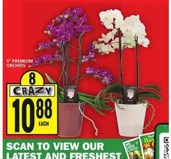 Food Basics 5 premium orchids offer