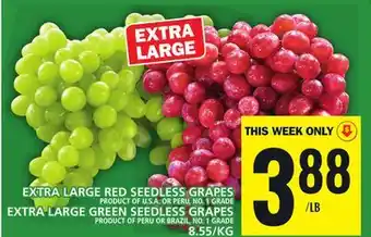 Food Basics Extra large red seedless grapes offer