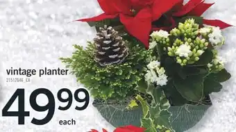 Fortinos Vintage planter offer