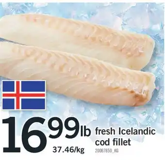 Fortinos Fresh icelandic cod fillet offer