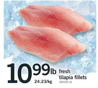 Fortinos Fresh tilapia fillets offer