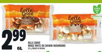 Metro Belle grove whole white or cremini mushrooms offer