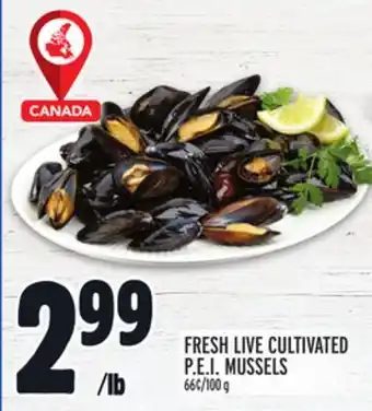 Metro Fresh live cultivated p.e.i. mussels offer
