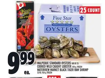 Metro Malpeque standard oysters offer