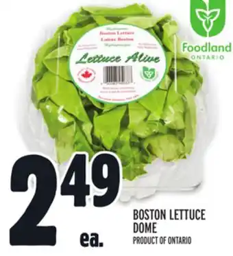 Metro Boston lettuce dome offer