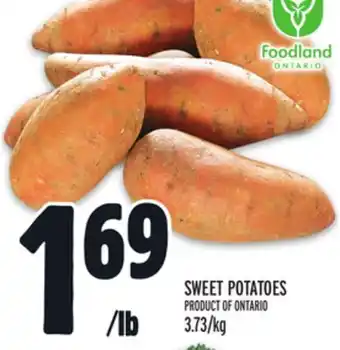 Metro Sweet potatoes offer