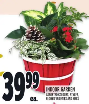 Metro Indoor garden offer