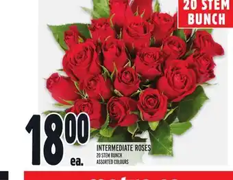 Metro Intermediate roses offer