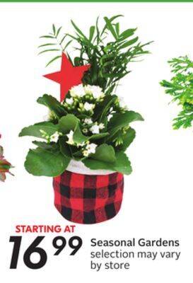 Sobeys Seasonal gardens offer