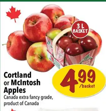 Farm Boy Cortland or mcintosh apples offer