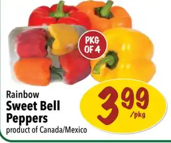 Farm Boy Rainbow sweet bell peppers offer