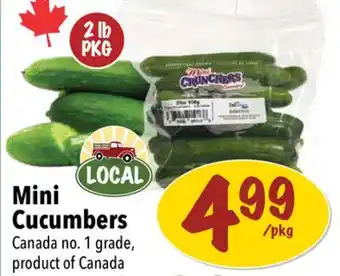 Farm Boy Mini cucumbers offer