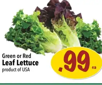 Farm Boy Green or red leaf lettuce offer