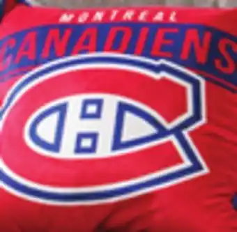 Nhl, mlb or nba cushion