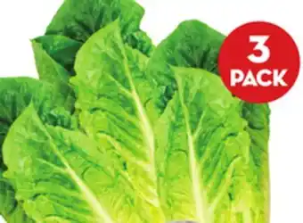 Giant Tiger 3 pack romaine hearts offer