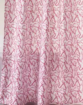 Giant Tiger Shower curtain offer