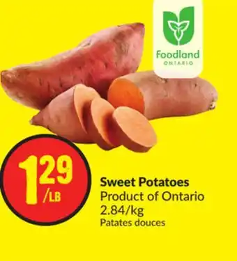 Chalo FreshCo Sweet potatoes product of ontario 2.84/kg offer