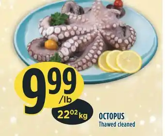 Marché Adonis Octopus offer