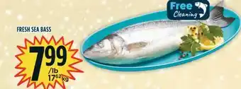 Marché Adonis Fresh sea bass offer