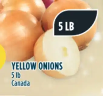Marché Adonis Yellow onions offer