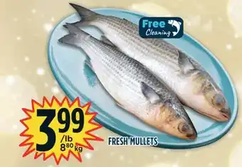Marché Adonis Fresh mullets offer